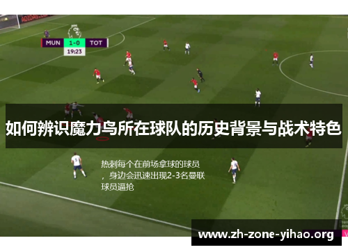 如何辨识魔力鸟所在球队的历史背景与战术特色