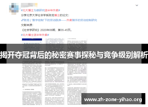 揭开夺冠背后的秘密赛事探秘与竞争级别解析