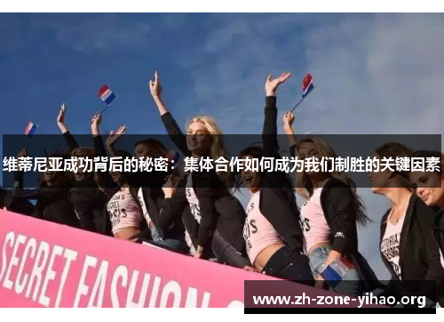 维蒂尼亚成功背后的秘密：集体合作如何成为我们制胜的关键因素